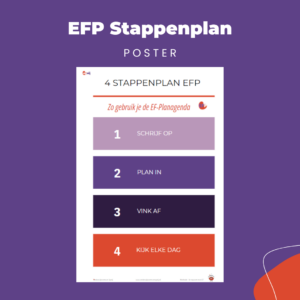 Poster - 4 stappenplan EFP